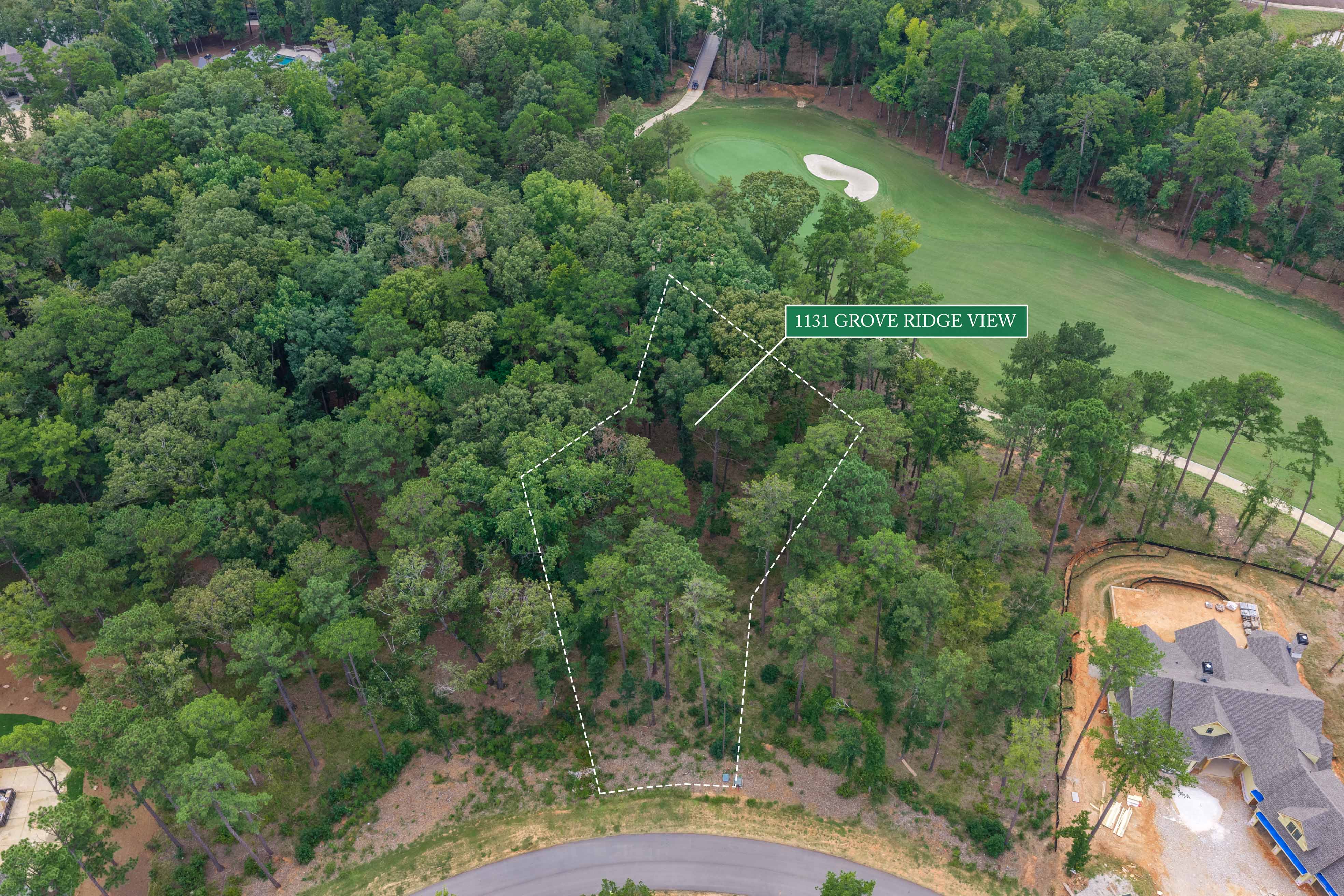 1131 Grove Ridge View image 17